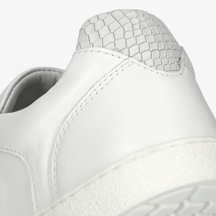 Groundies Portugal Universo Branco Cobra Mulheres